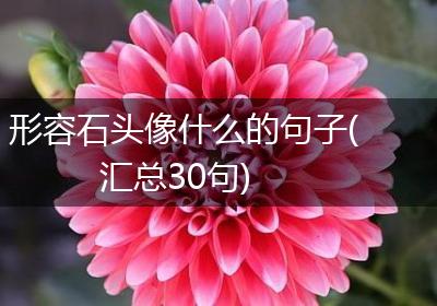 形容石头像什么的句子(汇总30句)