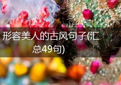 形容美人的古风句子(汇总49句)