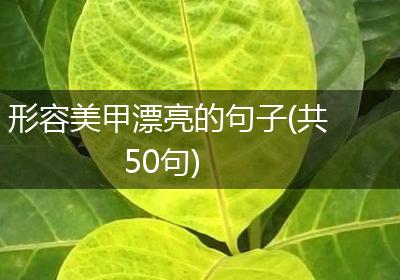 形容美甲漂亮的句子(共50句)