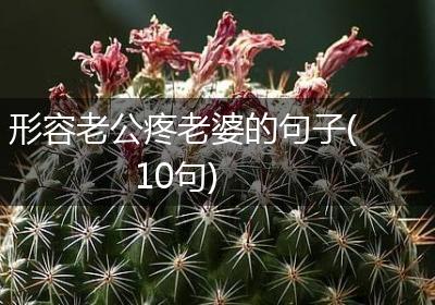 形容老公疼老婆的句子(10句)
