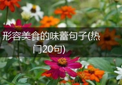 形容美食的味蕾句子(热门20句)