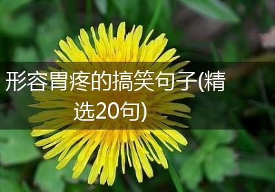 形容胃疼的搞笑句子(精选20句)