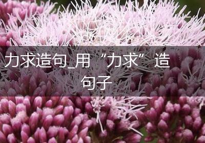 力求造句_用“力求”造句子