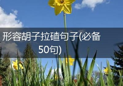 形容胡子拉碴句子(必备50句)
