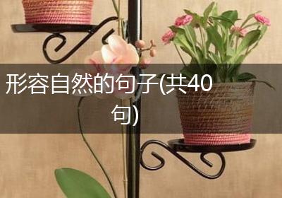 形容自然的句子(共40句)