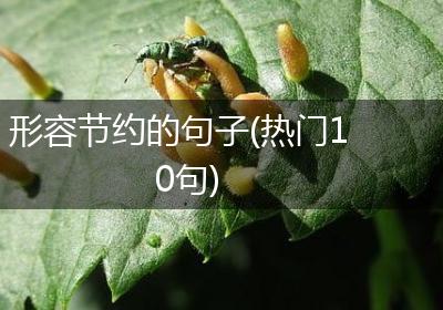 形容节约的句子(热门10句)