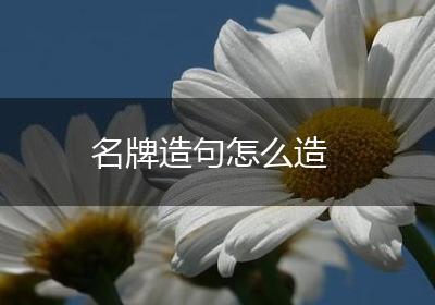 名牌造句怎么造