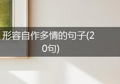 形容自作多情的句子(20句)