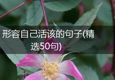 形容自己活该的句子(精选50句)