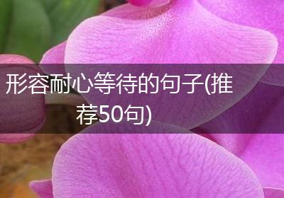 形容耐心等待的句子(推荐50句)