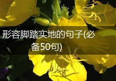 形容脚踏实地的句子(必备50句)