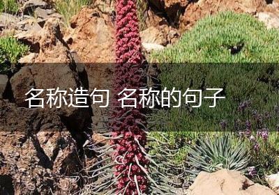 名称造句 名称的句子