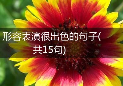 形容表演很出色的句子(共15句)