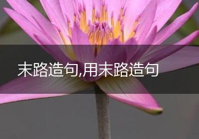 末路造句,用末路造句