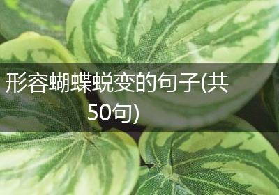 形容蝴蝶蜕变的句子(共50句)