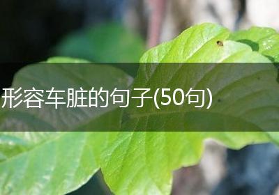 形容车脏的句子(50句)