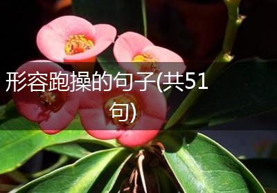 形容跑操的句子(共51句)