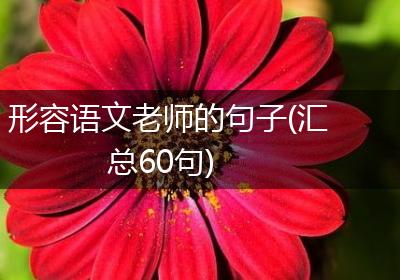 形容语文老师的句子(汇总60句)
