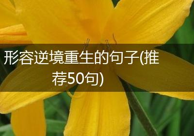 形容逆境重生的句子(推荐50句)