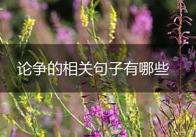 论争的相关句子有哪些