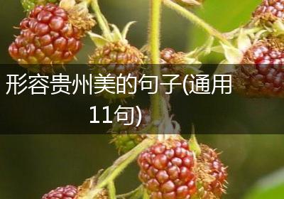 形容贵州美的句子(通用11句)