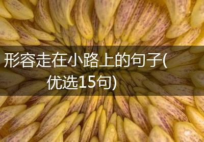 形容走在小路上的句子(优选15句)