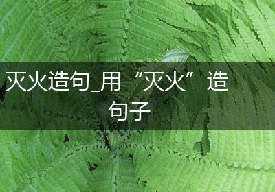 灭火造句_用“灭火”造句子