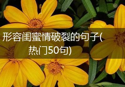 形容闺蜜情破裂的句子(热门50句)