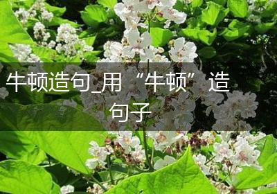 牛顿造句_用“牛顿”造句子