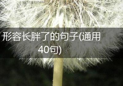 形容长胖了的句子(通用40句)
