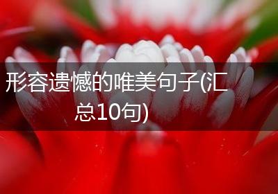 形容遗憾的唯美句子(汇总10句)