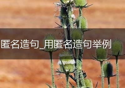 匿名造句_用匿名造句举例