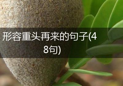 形容重头再来的句子(48句)