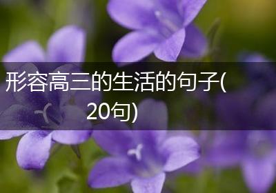 形容高三的生活的句子(20句)