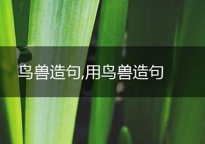 鸟兽造句,用鸟兽造句