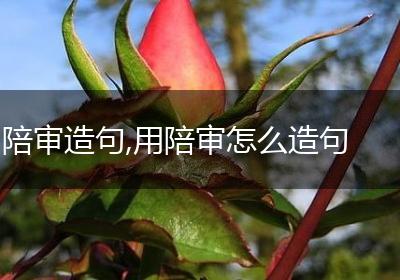陪审造句,用陪审怎么造句