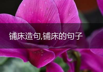 铺床造句,铺床的句子