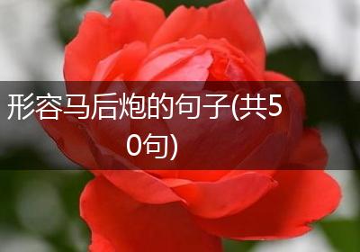 形容马后炮的句子(共50句)