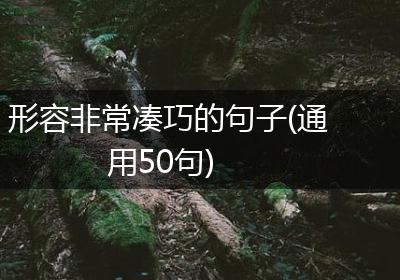 形容非常凑巧的句子(通用50句)