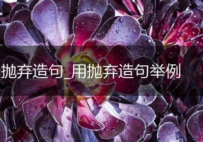 抛弃造句_用抛弃造句举例
