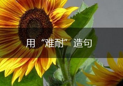 用“难耐”造句