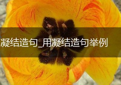 凝结造句_用凝结造句举例