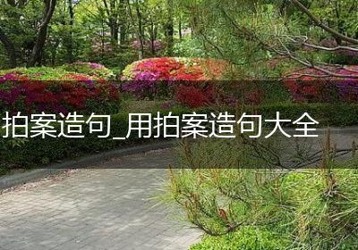 拍案造句_用拍案造句大全