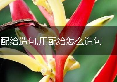配给造句,用配给怎么造句