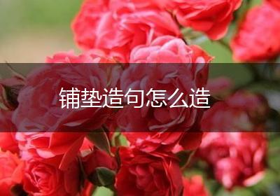 铺垫造句怎么造