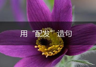 用“配发”造句