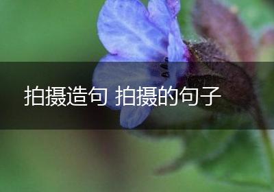 拍摄造句 拍摄的句子