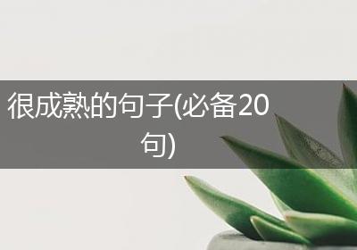 很成熟的句子(必备20句)