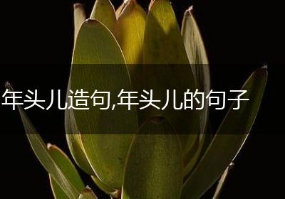 年头儿造句,年头儿的句子