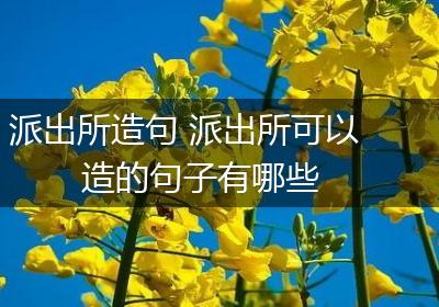 派出所造句 派出所可以造的句子有哪些